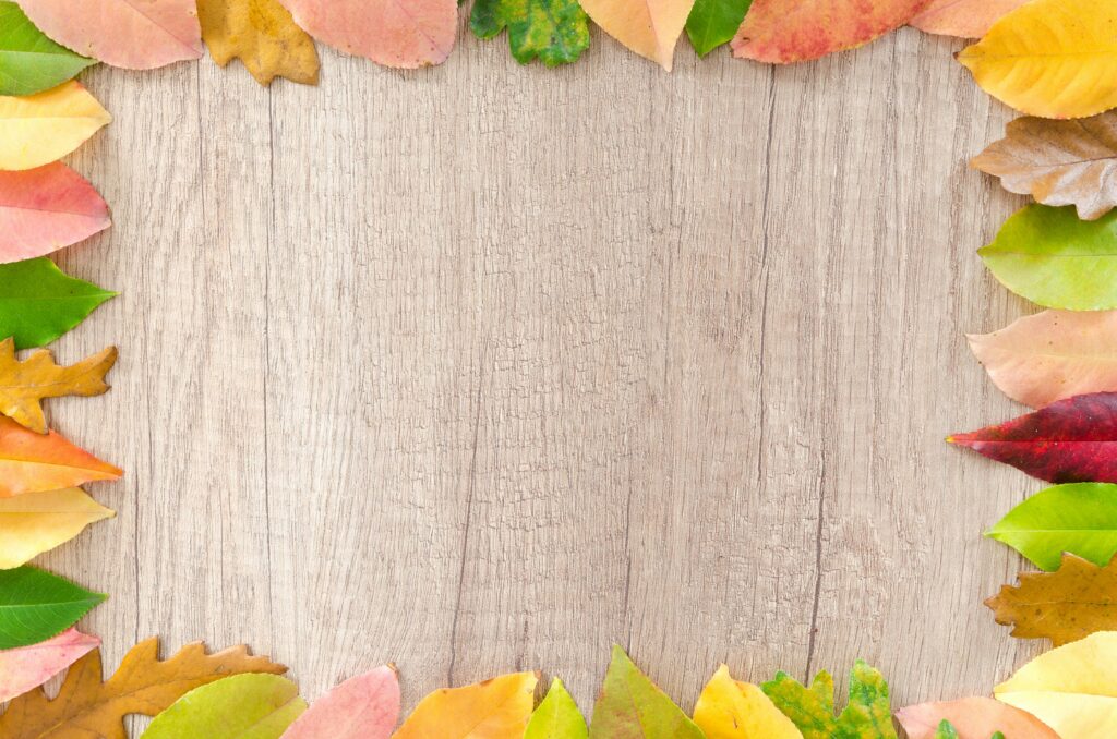Colorful autumn leaves frame a natural wood background, perfect for seasonal designs.
